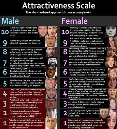If you and your buds are crossing the streams when it comes to deciphering beauty, get yourselves straight with The Sub-4 <strong>Scale</strong> -- The Rosetta Stone of Wingmen. . Female attractiveness scale with pictures test